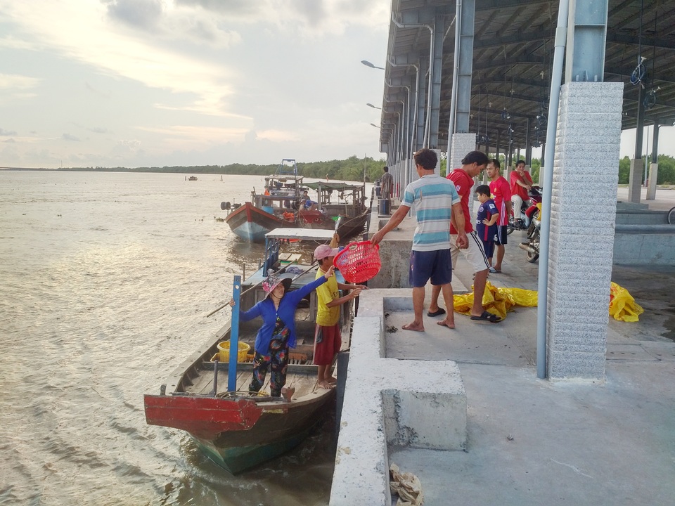 Tín hiệu vui ban đầu ở bến cá gần 50 tỷ từng khiến người dân thất vọng tại Sóc Trăng - 2 Tín hiệu vui ban đầu ở bến cá gần 50 tỷ từng khiến người dân thất vọng tại Sóc Trăng - 2