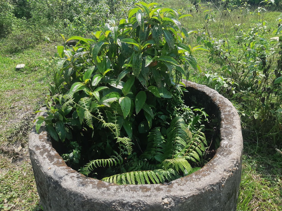 Cơ hội “gặm nhấm” khi khu tái định cư bị bỏ hoang nhiều năm - 5