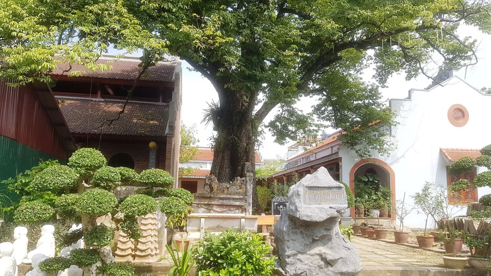 Ngôi chùa cổ có 2 cây di sản đầu tiên ở Ninh Bình - 8 Ngôi chùa cổ có 2 cây di sản đầu tiên ở Ninh Bình - 8
