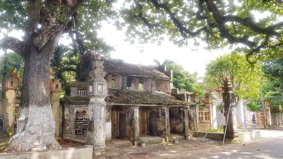 Ngôi chùa cổ có 2 cây di sản đầu tiên ở Ninh Bình - 2 Ngôi chùa cổ có 2 cây di sản đầu tiên ở Ninh Bình - 2