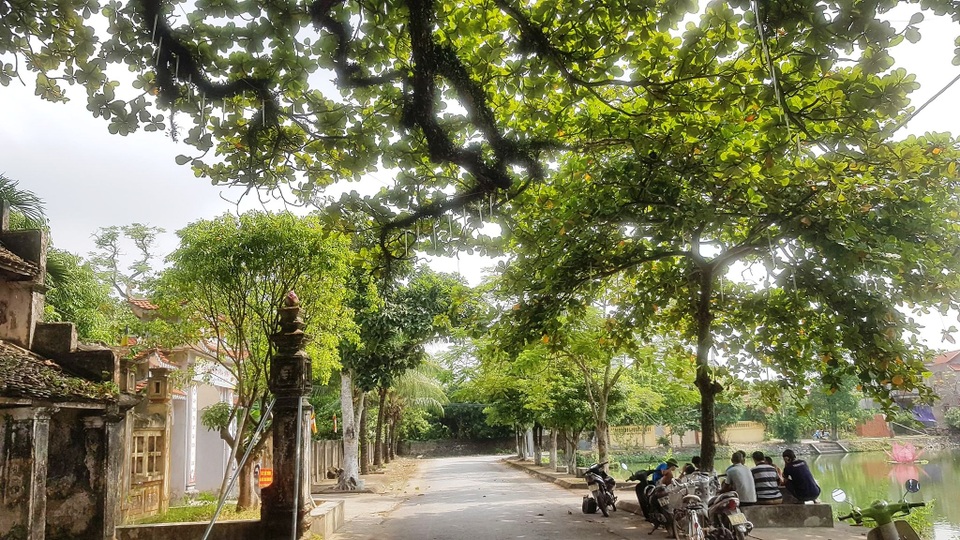 Ngôi chùa cổ có 2 cây di sản đầu tiên ở Ninh Bình - 5 Ngôi chùa cổ có 2 cây di sản đầu tiên ở Ninh Bình - 5
