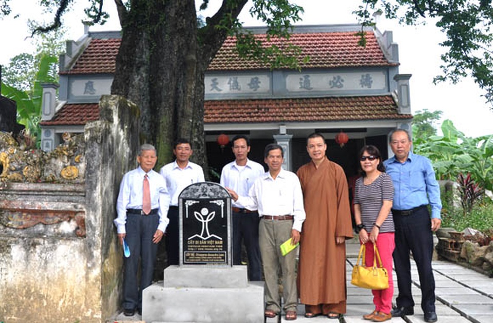 Ngôi chùa cổ có 2 cây di sản đầu tiên ở Ninh Bình - 14 Ngôi chùa cổ có 2 cây di sản đầu tiên ở Ninh Bình - 14