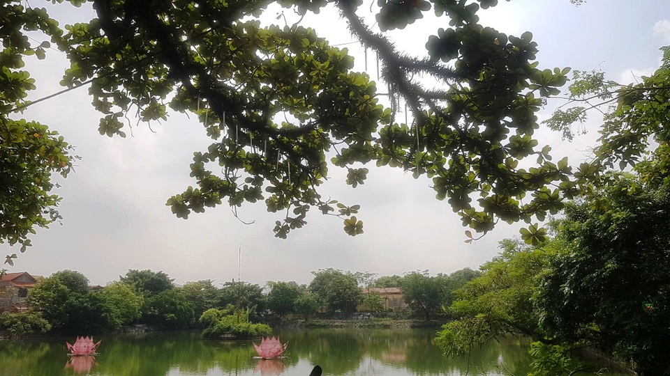 Ngôi chùa cổ có 2 cây di sản đầu tiên ở Ninh Bình - 6 Ngôi chùa cổ có 2 cây di sản đầu tiên ở Ninh Bình - 6