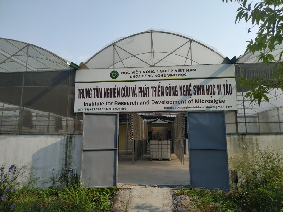Vi tảo “Made in Vietnam”: Khả năng ấn tượng của công nghệ 4.0 trong hệ thống nuôi vi tảo - 1 Vi tảo “Made in Vietnam”: Khả năng ấn tượng của công nghệ 4.0 trong hệ thống nuôi vi tảo - 1