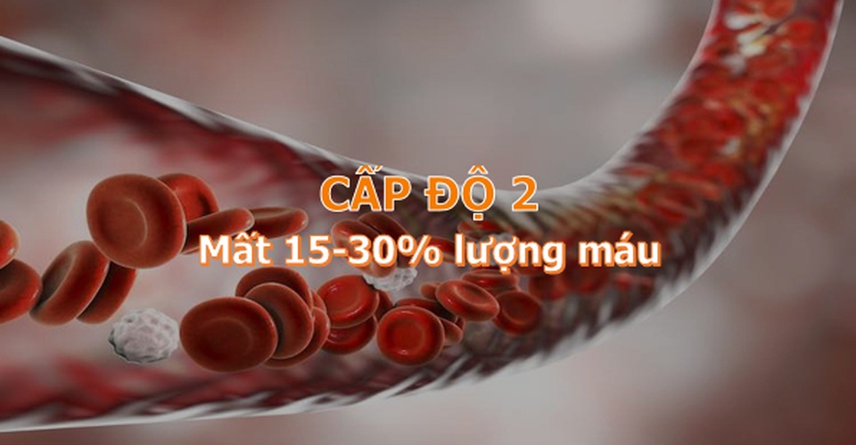 Con người có thể mất tối đa bao nhiêu máu và vẫn sống sót? - 5 Con người có thể mất tối đa bao nhiêu máu và vẫn sống sót? - 5