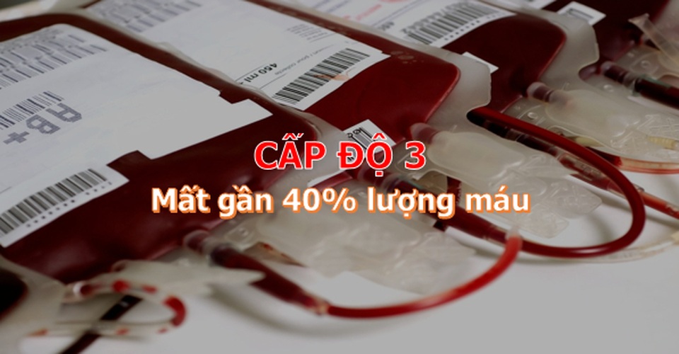 Con người có thể mất tối đa bao nhiêu máu và vẫn sống sót? - 6 Con người có thể mất tối đa bao nhiêu máu và vẫn sống sót? - 6