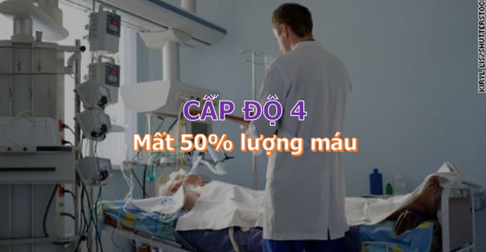 Con người có thể mất tối đa bao nhiêu máu và vẫn sống sót? - 7 Con người có thể mất tối đa bao nhiêu máu và vẫn sống sót? - 7