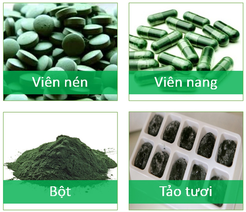 Vì sao tảo Spirulina được coi là “Thực phẩm bảo vệ sức khỏe tốt nhất của loài người trong thế kỷ 21”? - 7