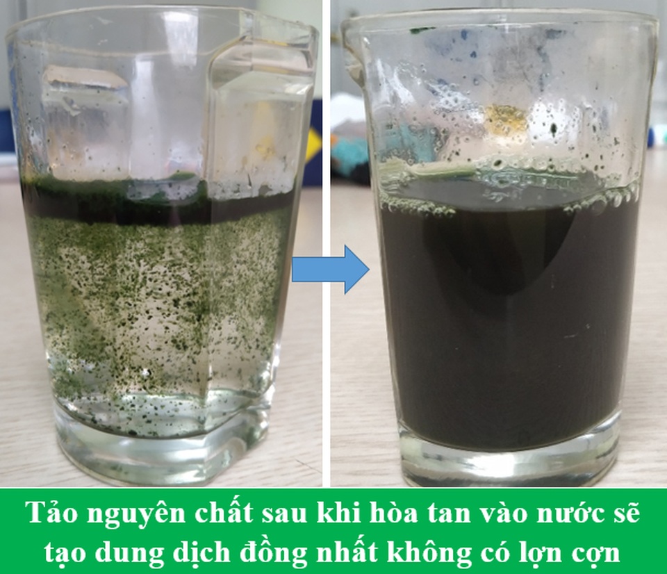 Vì sao tảo Spirulina được coi là “Thực phẩm bảo vệ sức khỏe tốt nhất của loài người trong thế kỷ 21”? - 8