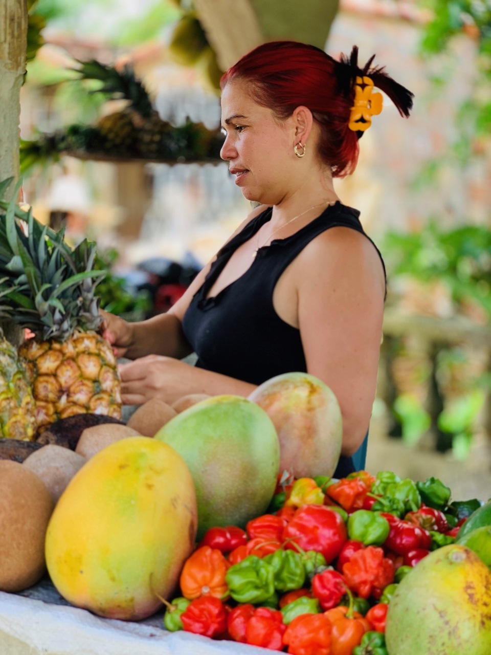 Trải nghiệm khó quên của du khách Việt ở Cuba, hàng hóa khan hiếm và đắt đỏ - 9 Trải nghiệm khó quên của du khách Việt ở Cuba, hàng hóa khan hiếm và đắt đỏ - 9