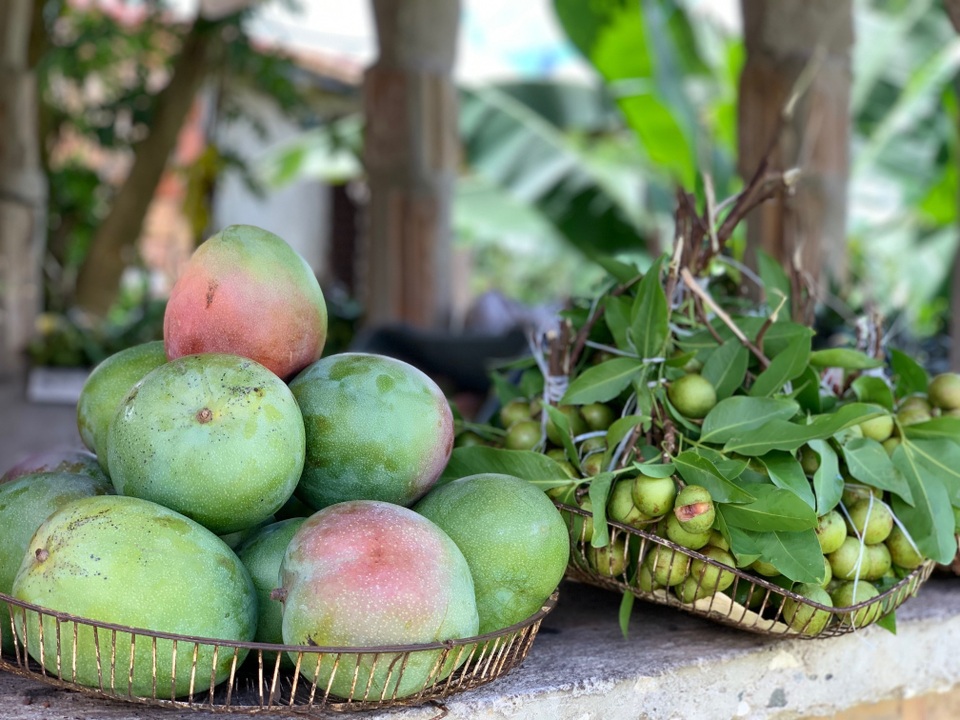 Trải nghiệm khó quên của du khách Việt ở Cuba, hàng hóa khan hiếm và đắt đỏ - 8 Trải nghiệm khó quên của du khách Việt ở Cuba, hàng hóa khan hiếm và đắt đỏ - 8