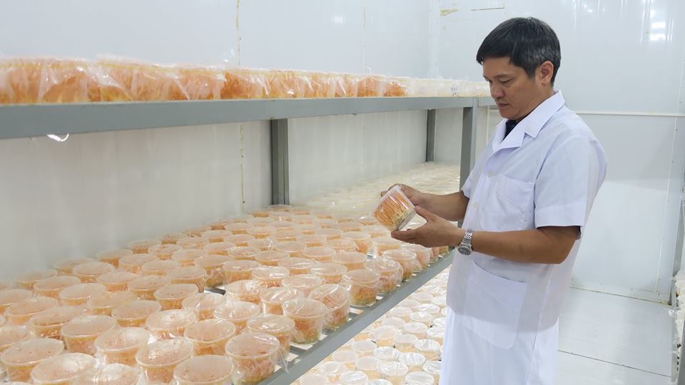 Chuyên gia giải đáp những thắc mắc về Đông trùng hạ thảo: Rất tốt nhưng không phải thần dược! - 2 Chuyên gia giải đáp những thắc mắc về Đông trùng hạ thảo: Rất tốt nhưng không phải thần dược! - 2