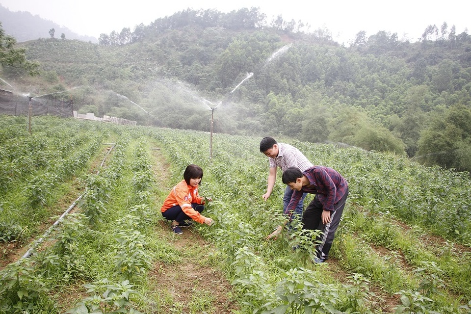 Doanh nghiệp phát triển bền vững vì cộng đồng - 1 Doanh nghiệp phát triển bền vững vì cộng đồng - 1