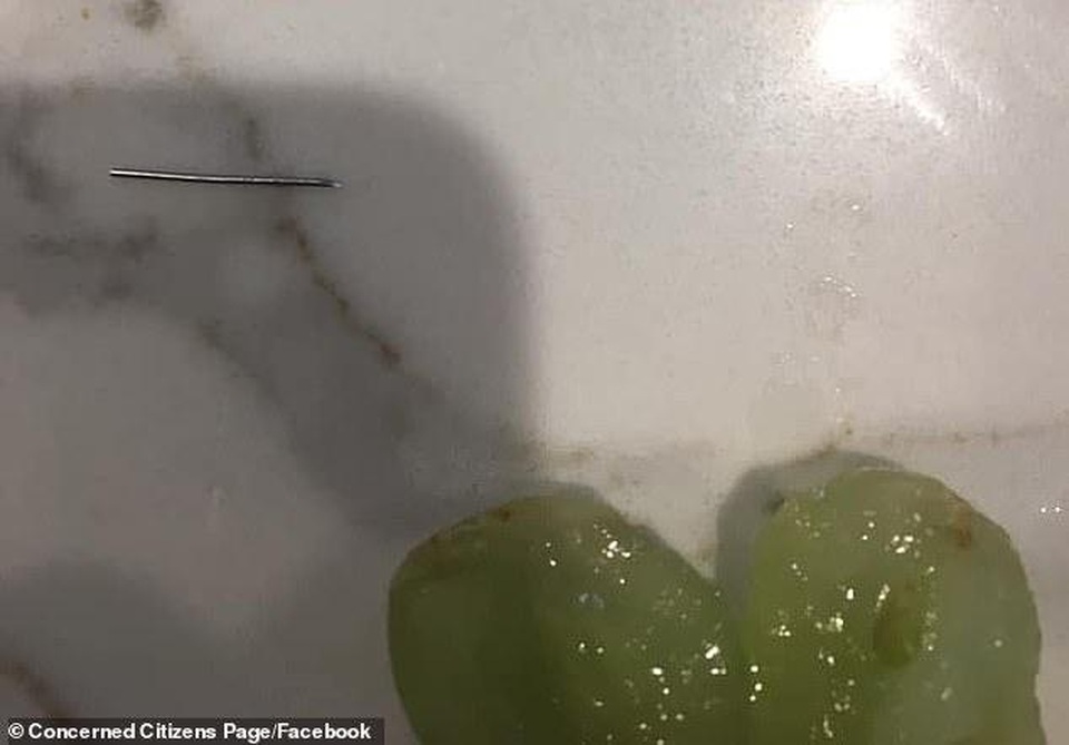 Mua nho, được khuyến mại thêm kim sắt trong ruột quả - 3 Mua nho, được khuyến mại thêm kim sắt trong ruột quả - 3