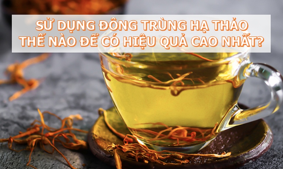 Chuyên gia giải đáp những thắc mắc về Đông trùng hạ thảo: Rất tốt nhưng không phải thần dược! - 11 Chuyên gia giải đáp những thắc mắc về Đông trùng hạ thảo: Rất tốt nhưng không phải thần dược! - 11