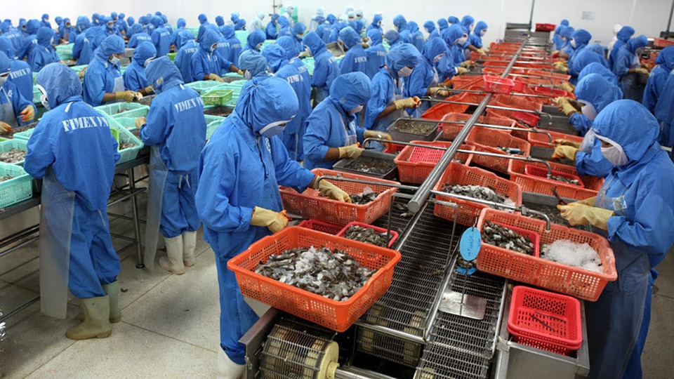 Trung Quốc đóng lối nhỏ, tôm cá rớt giá, dân Việt khóc ròng - 2 Trung Quốc đóng lối nhỏ, tôm cá rớt giá, dân Việt khóc ròng - 2