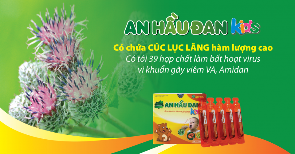 An Hầu Đan Kids sở hữu thảo dược vàng cúc lục lăng - 1 An Hầu Đan Kids sở hữu thảo dược vàng cúc lục lăng - 1