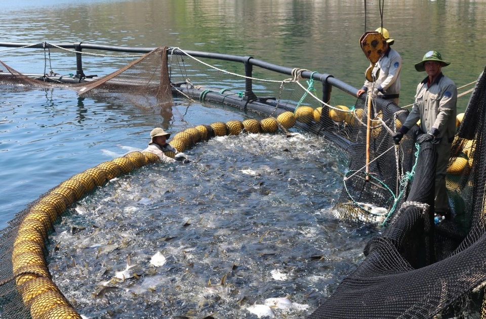 Hơn 150 đại biểu Việt Nam - Na Uy dự hội nghị về “kinh tế Đại dương xanh” - 2