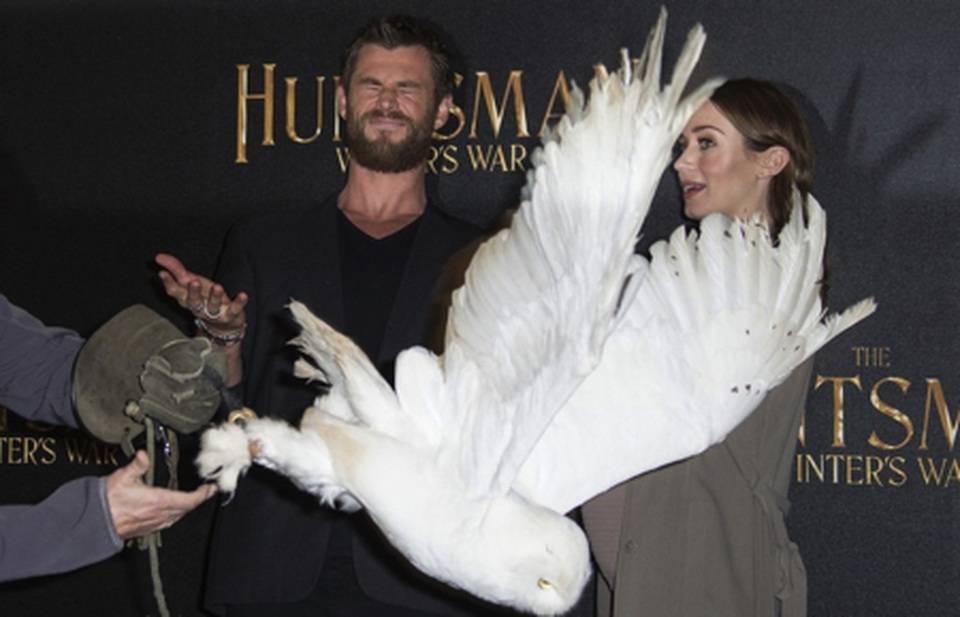 Những khoảnh khắc “cười ra nước mắt” của sao - 11