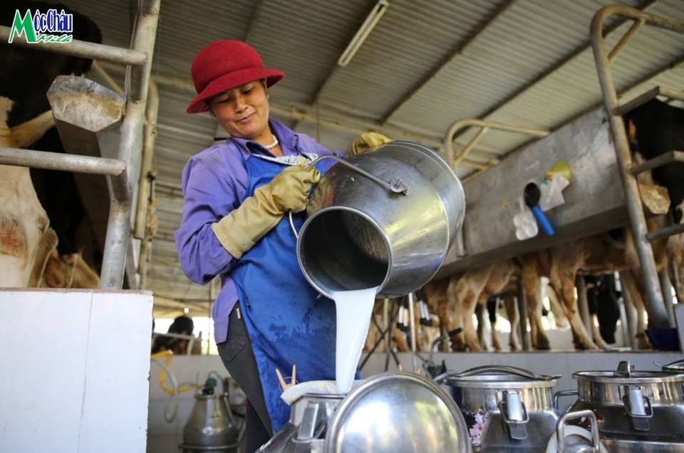 Háo hức đón chờ nàng Hoa hậu ngàn cân thứ 16 - 2 Háo hức đón chờ nàng Hoa hậu ngàn cân thứ 16 - 2