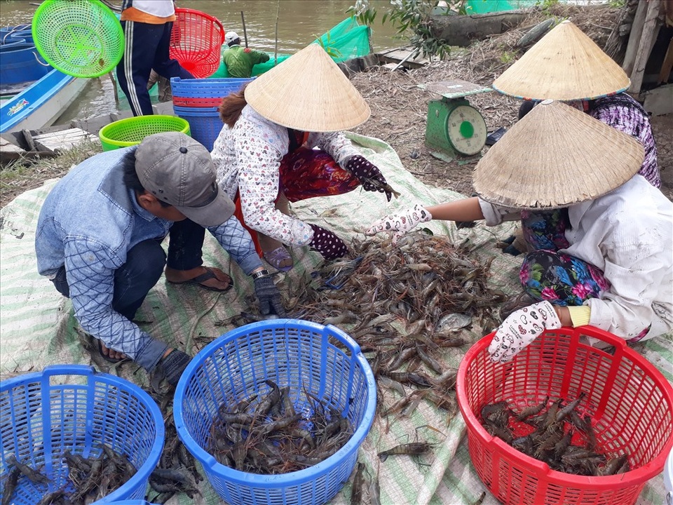 Đỏ mắt tìm lao động ở nơi cung ứng nguồn lao động - 2 Đỏ mắt tìm lao động ở nơi cung ứng nguồn lao động - 2