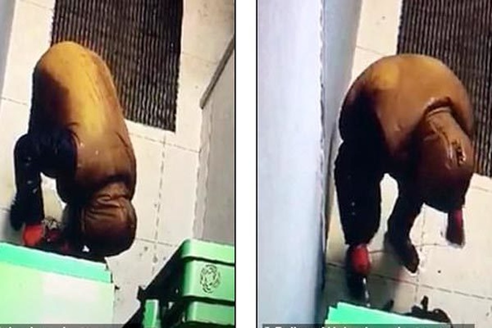 Kết thảm cho kẻ đặt mìn phá cây ATM trộm tiền - 1 Kết thảm cho kẻ đặt mìn phá cây ATM trộm tiền - 1