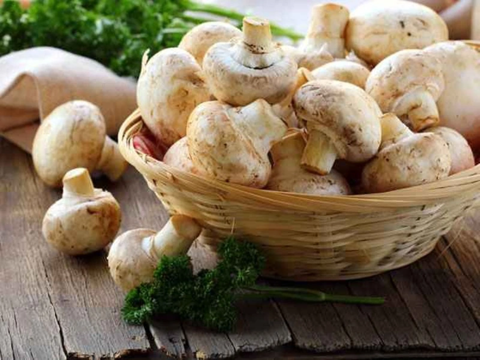 Chuyên gia Nhật Bản tìm ra thực phẩm đơn giản ngừa ung thư tuyến tiền liệt - 1 Chuyên gia Nhật Bản tìm ra thực phẩm đơn giản ngừa ung thư tuyến tiền liệt - 1