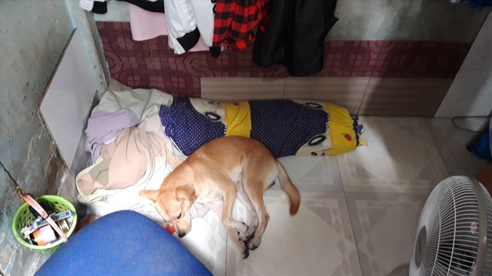 Những chuyện bi hài khi sống trong căn nhà “siêu nhỏ” giữa Sài Gòn - 3 Những chuyện bi hài khi sống trong căn nhà “siêu nhỏ” giữa Sài Gòn - 3