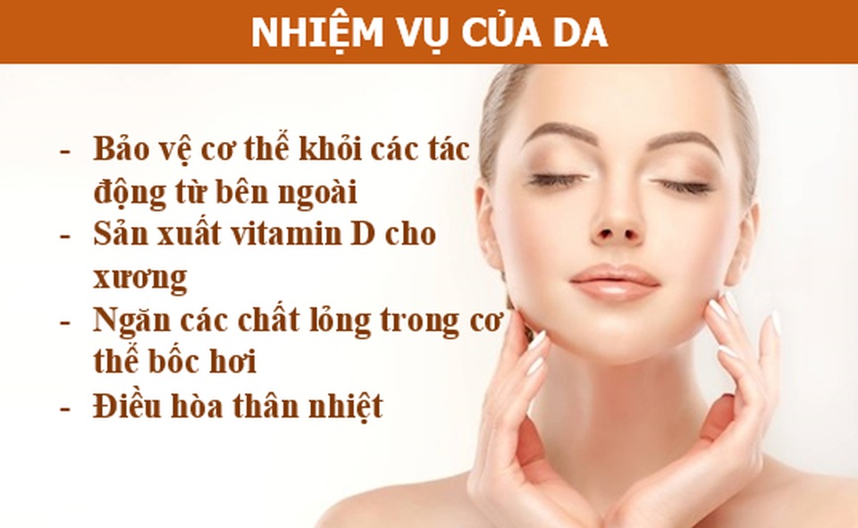 Là cơ quan lớn nhất và là thứ giúp chúng ta tồn tại, lớp da có cấu tạo như thế nào? - 1 Là cơ quan lớn nhất và là thứ giúp chúng ta tồn tại, lớp da có cấu tạo như thế nào? - 1