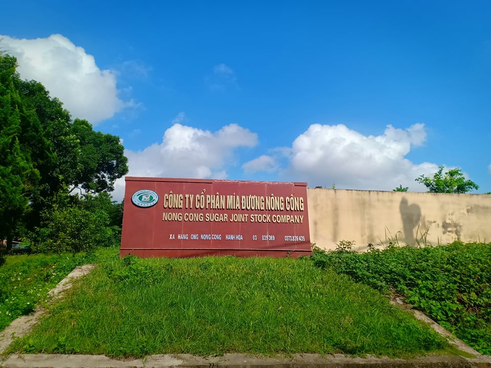 Người trồng mía khốn đốn vì công ty mía đường không chịu trả nợ - 1 Người trồng mía khốn đốn vì công ty mía đường không chịu trả nợ - 1