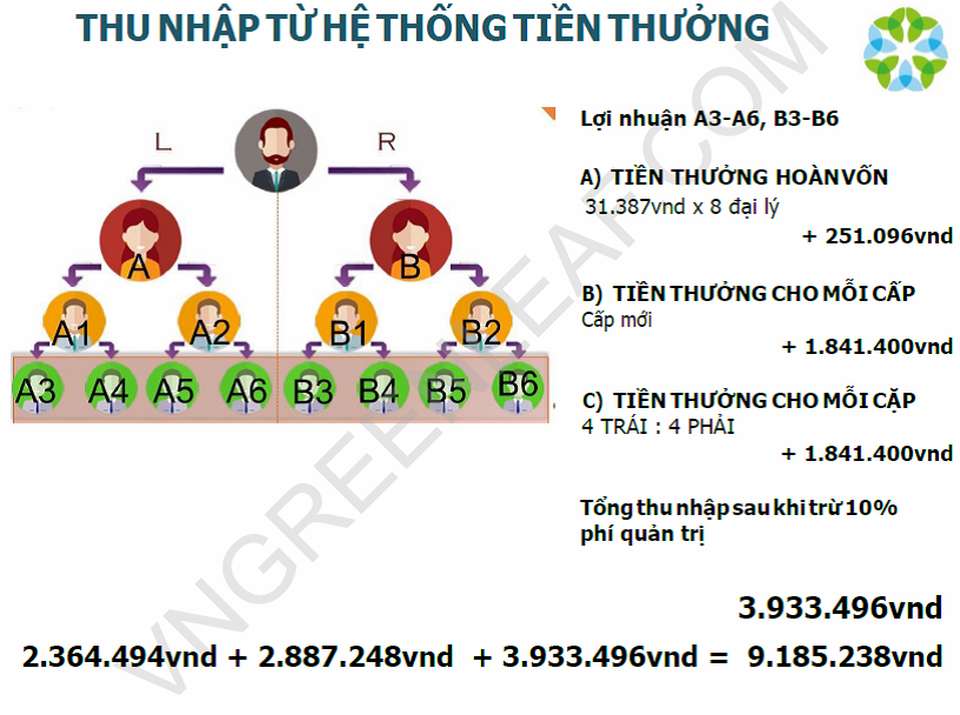 Cảnh báo nguy cơ “sập bẫy” khi tham gia đa cấp Greenleaf xuất xứ Trung Quốc - 1