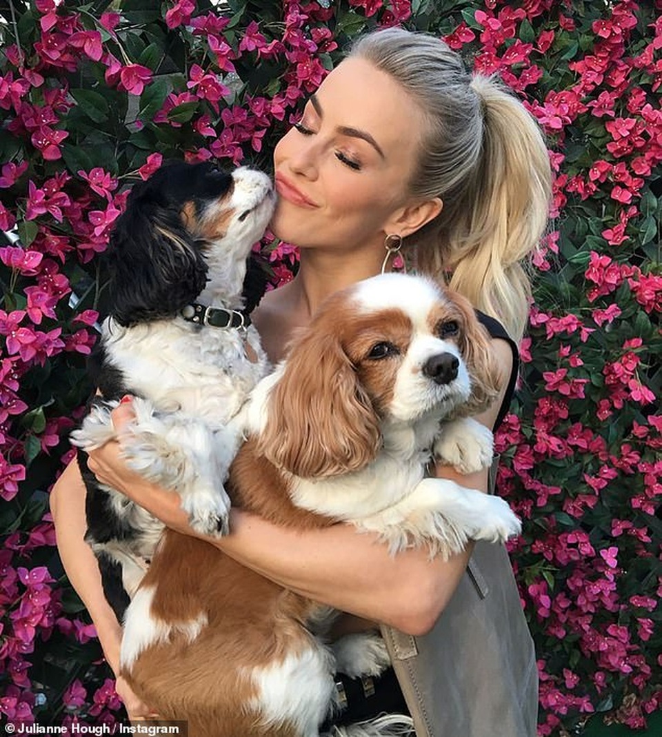 Julianne Hough đau buồn khi mất 2 cún cưng - 1 Julianne Hough đau buồn khi mất 2 cún cưng - 1