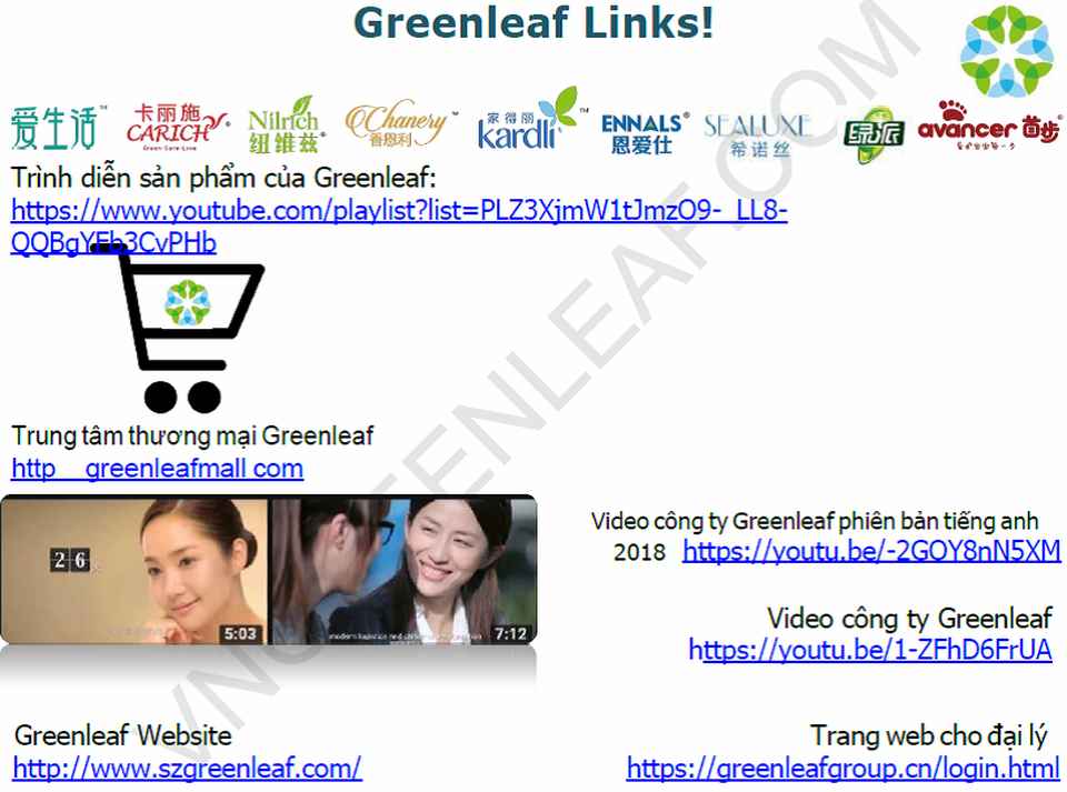 Cảnh báo nguy cơ “sập bẫy” khi tham gia đa cấp Greenleaf xuất xứ Trung Quốc - 2