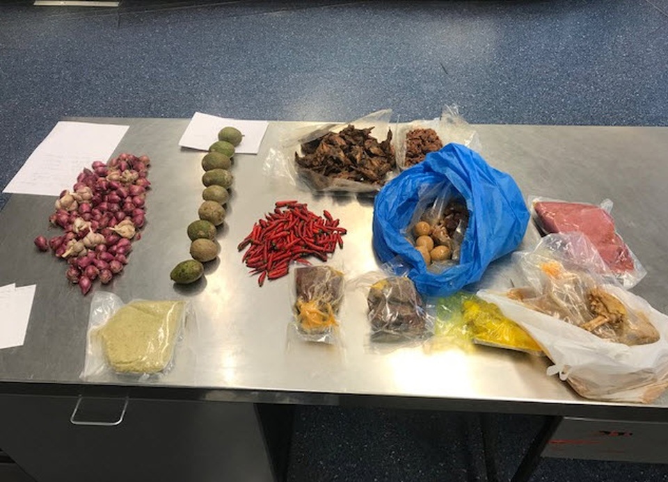 Australia trục xuất một phụ nữ Việt Nam mang thịt lợn nhập cảnh - 1