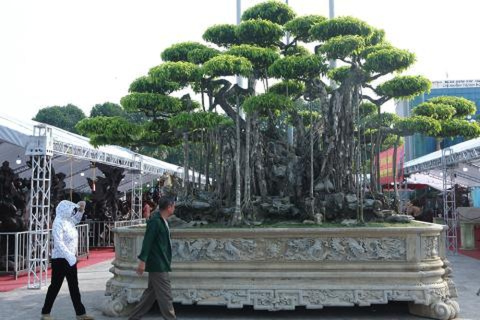 Định giá sanh cổ gần 500 tỷ đồng: Cho không đắt - 2 Định giá sanh cổ gần 500 tỷ đồng: Cho không đắt - 2