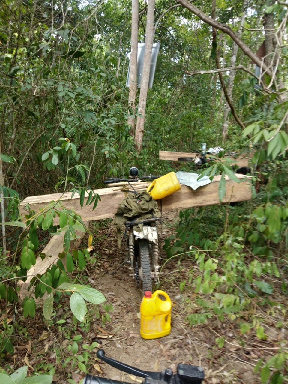 Khởi tố vụ án sau loạt bài “Tiếng thét đau đớn của rừng xanh Tây Nguyên”! - 4 Khởi tố vụ án sau loạt bài “Tiếng thét đau đớn của rừng xanh Tây Nguyên”! - 4