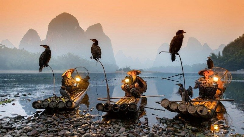 Độc đáo nghệ thuật câu cá trên sông ... bằng chim - 1 Độc đáo nghệ thuật câu cá trên sông ... bằng chim - 1