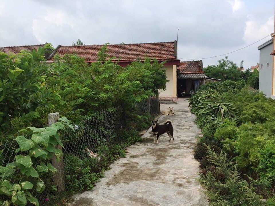 Con rể nghi mang xăng đến nhà bố vợ tự thiêu - 1 Con rể nghi mang xăng đến nhà bố vợ tự thiêu - 1