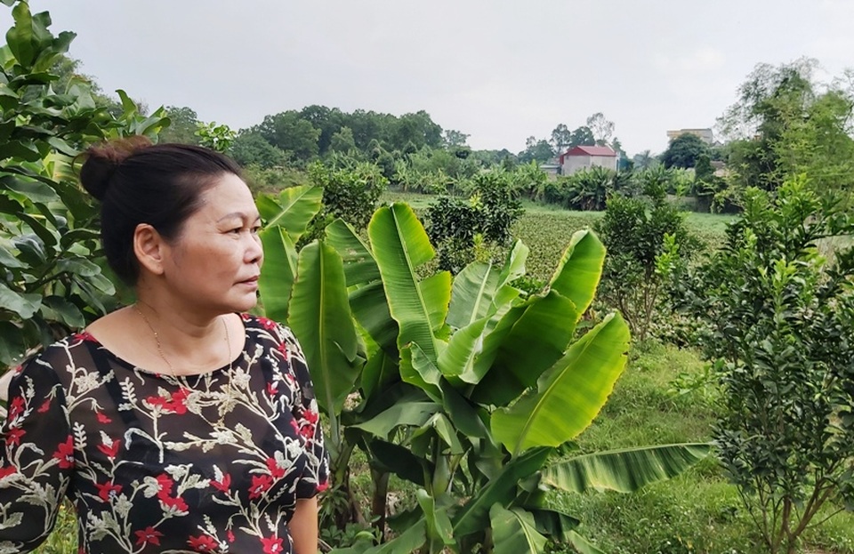 Quy hoạch đất bị “đổ nhầm mầu mực” tại Thanh Hoá: Do sai sót về nghiệp vụ! - 2 Quy hoạch đất bị “đổ nhầm mầu mực” tại Thanh Hoá: Do sai sót về nghiệp vụ! - 2