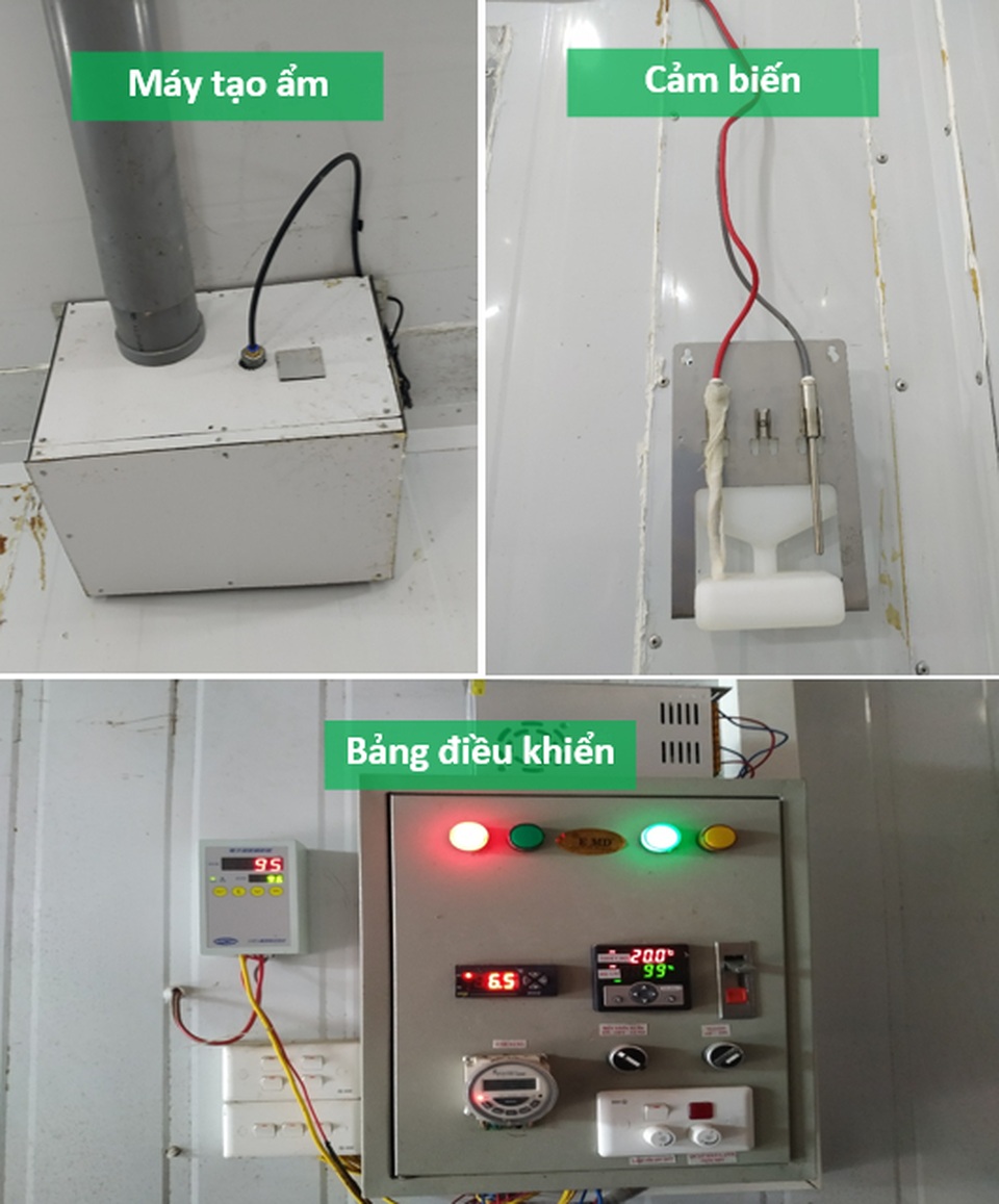 Khám phá công nghệ nuôi trồng loài nấm “nửa cây nửa con” của các nhà khoa học Việt - 9 Khám phá công nghệ nuôi trồng loài nấm “nửa cây nửa con” của các nhà khoa học Việt - 9