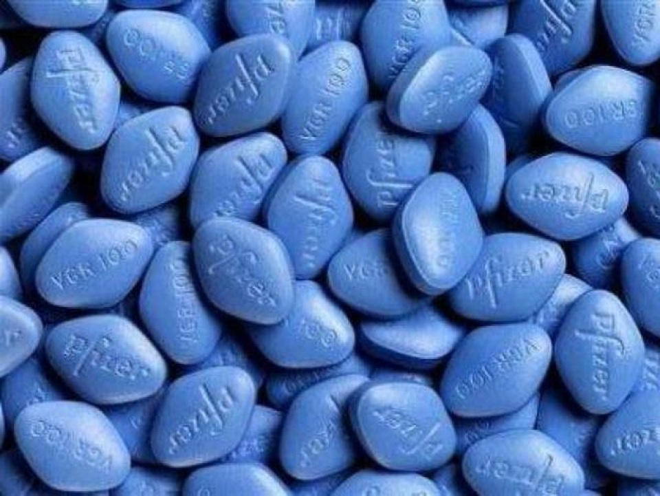 Thuốc Viagra- hy vọng mới cho bệnh nhân ung thư máu - 1 Thuốc Viagra- hy vọng mới cho bệnh nhân ung thư máu - 1