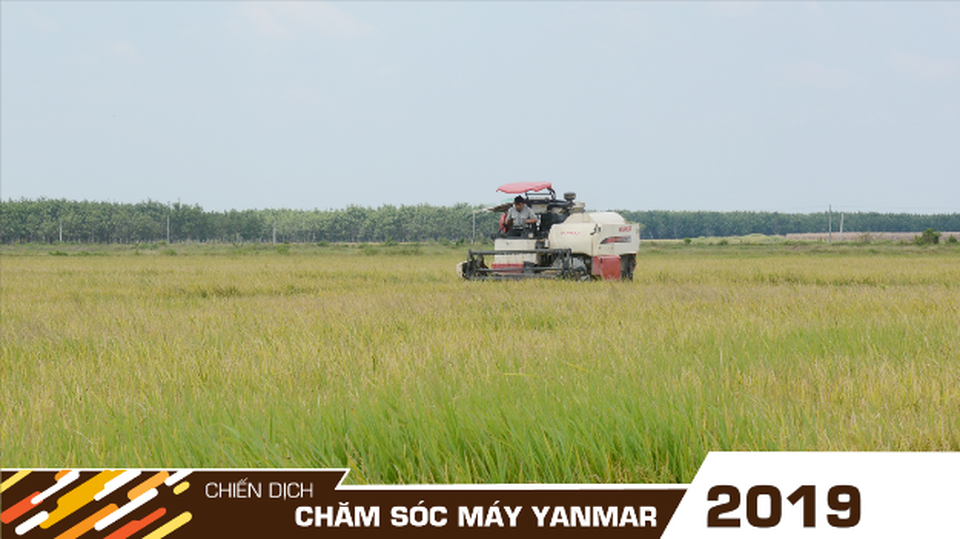 Chiến dịch Chăm sóc máy Yanmar toàn diện năm 2019 - 6 Chiến dịch Chăm sóc máy Yanmar toàn diện năm 2019 - 6