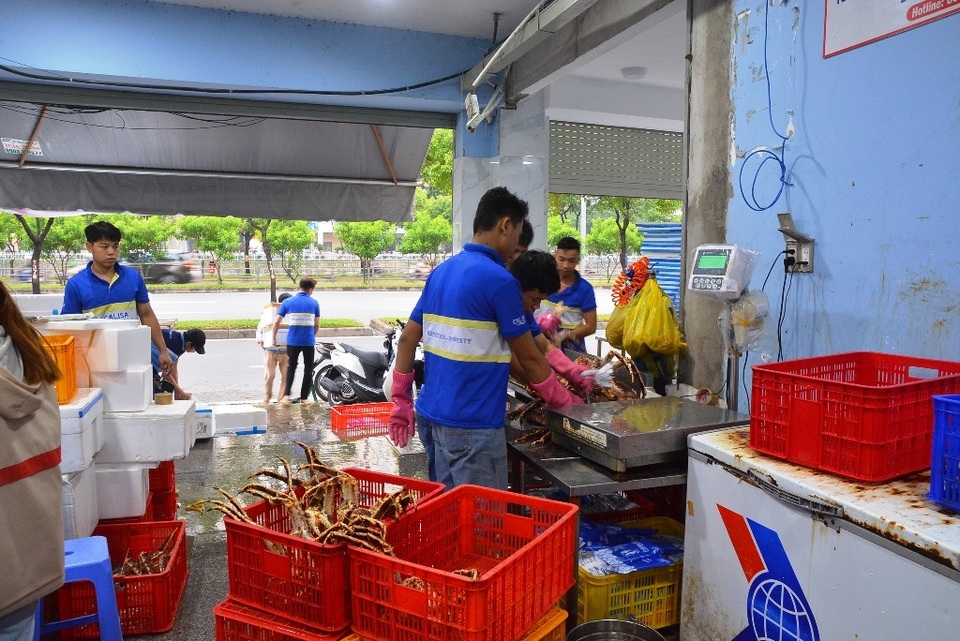Cua hoàng đế có giá rẻ nhất trong thập kỷ, nhà giàu mua “nườm nượp” - 2 Cua hoàng đế có giá rẻ nhất trong thập kỷ, nhà giàu mua “nườm nượp” - 2