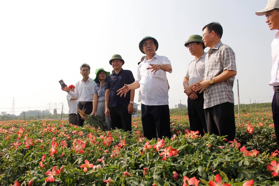 Giếng cổ ngàn năm: di sản “có một không hai” hút khách ở Quảng Trị - 6 Giếng cổ ngàn năm: di sản “có một không hai” hút khách ở Quảng Trị - 6