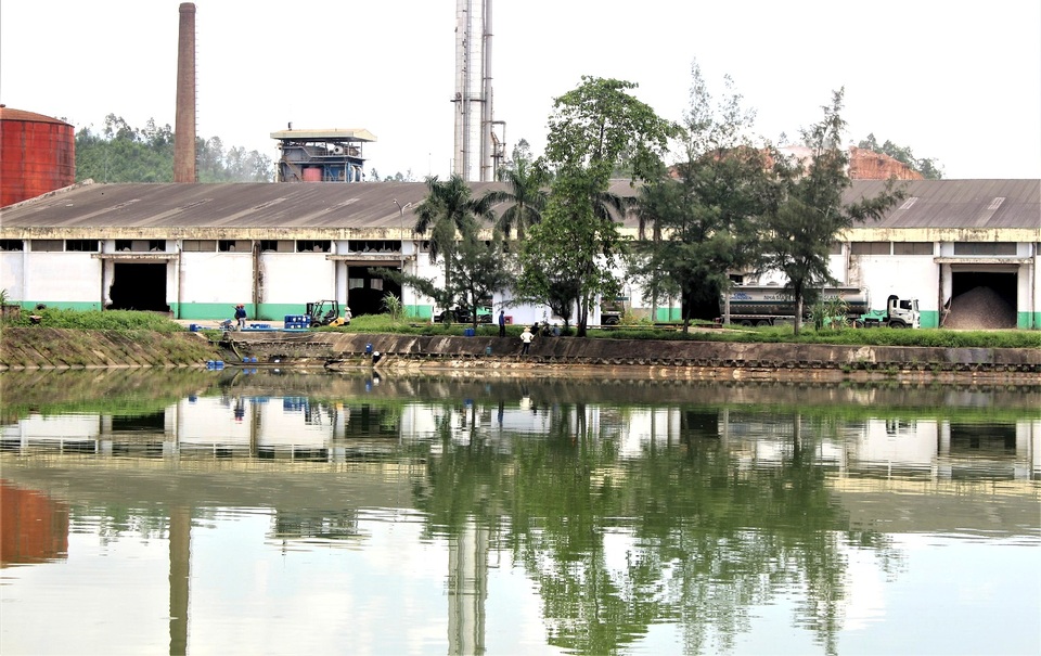 Một hồ sinh thái phía sau nhà máy cồn Đại Tân Nhà máy cồn Đại Tân gây ô nhiễm