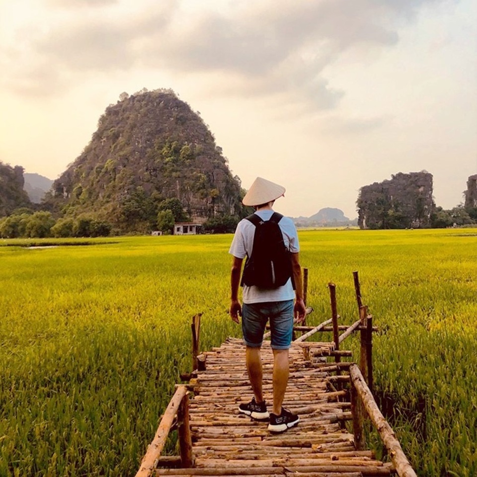 Sen nở rộ, lúa trải vàng ở thánh địa sống ảo miền Bắc - 7 Sen nở rộ, lúa trải vàng ở thánh địa sống ảo miền Bắc - 7