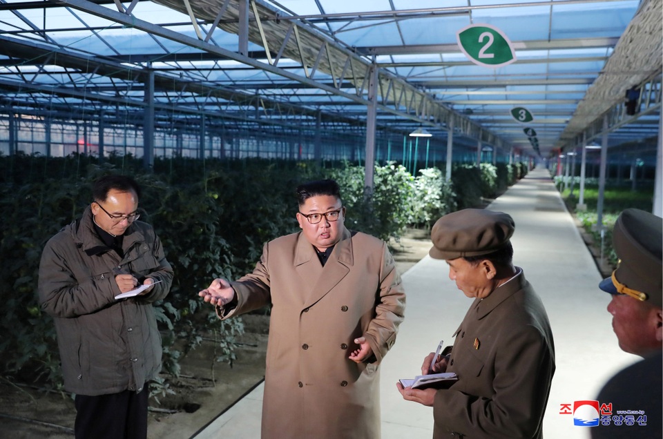 Ông Kim Jong-un thăm trang trại trồng rau trước nguy cơ thiếu lương thực - 4 Ông Kim Jong-un thăm trang trại trồng rau trước nguy cơ thiếu lương thực - 4