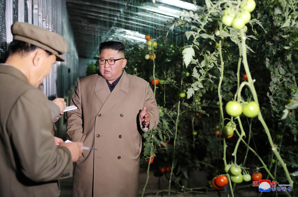 Ông Kim Jong-un thăm trang trại trồng rau trước nguy cơ thiếu lương thực - 3 Ông Kim Jong-un thăm trang trại trồng rau trước nguy cơ thiếu lương thực - 3