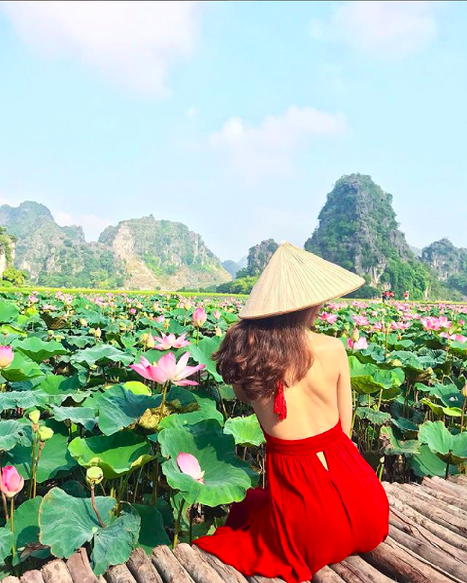 Sen nở rộ, lúa trải vàng ở thánh địa sống ảo miền Bắc - 4 Sen nở rộ, lúa trải vàng ở thánh địa sống ảo miền Bắc - 4