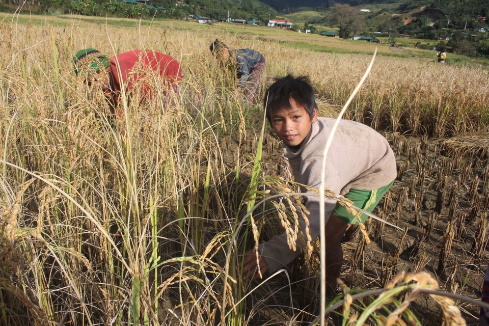 Người phụ nữ Xê Đăng “2 giỏi” ở... xứ sở sương mù - 5 Người phụ nữ Xê Đăng “2 giỏi” ở... xứ sở sương mù - 5